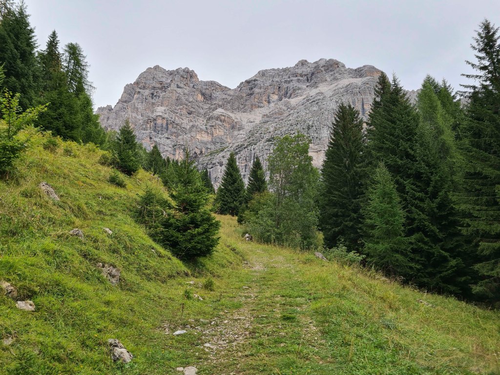 Sentiero montano circondato da alberi verdi e una grande parete rocciosa in lontananza.