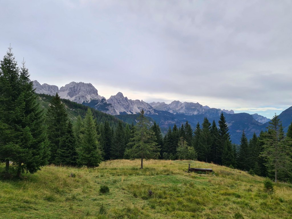 Panorama montano con alberi verdi e cime rocciose sullo sfondo sotto un cielo nuvoloso.
