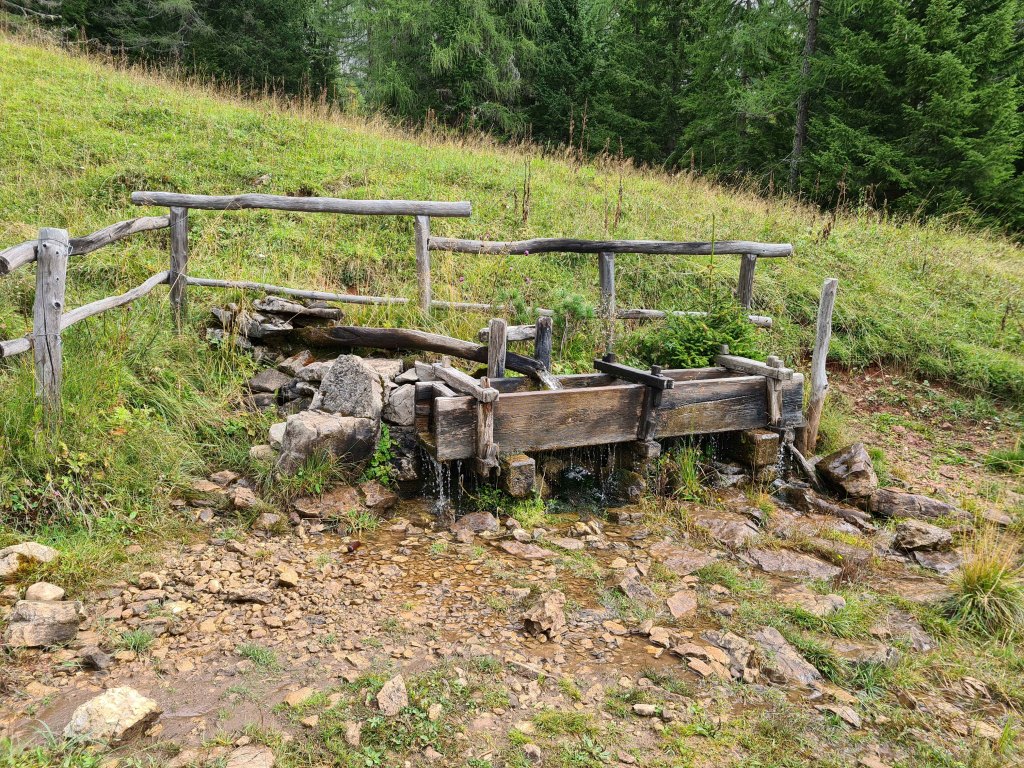 Fontana di legno in un'area verde con recinzione, circondata da pietre e vegetazione.