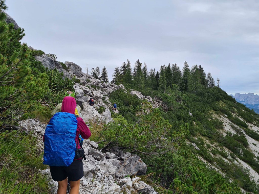 Escursionisti che camminano su un sentiero montano circondato da alberi e rocce.