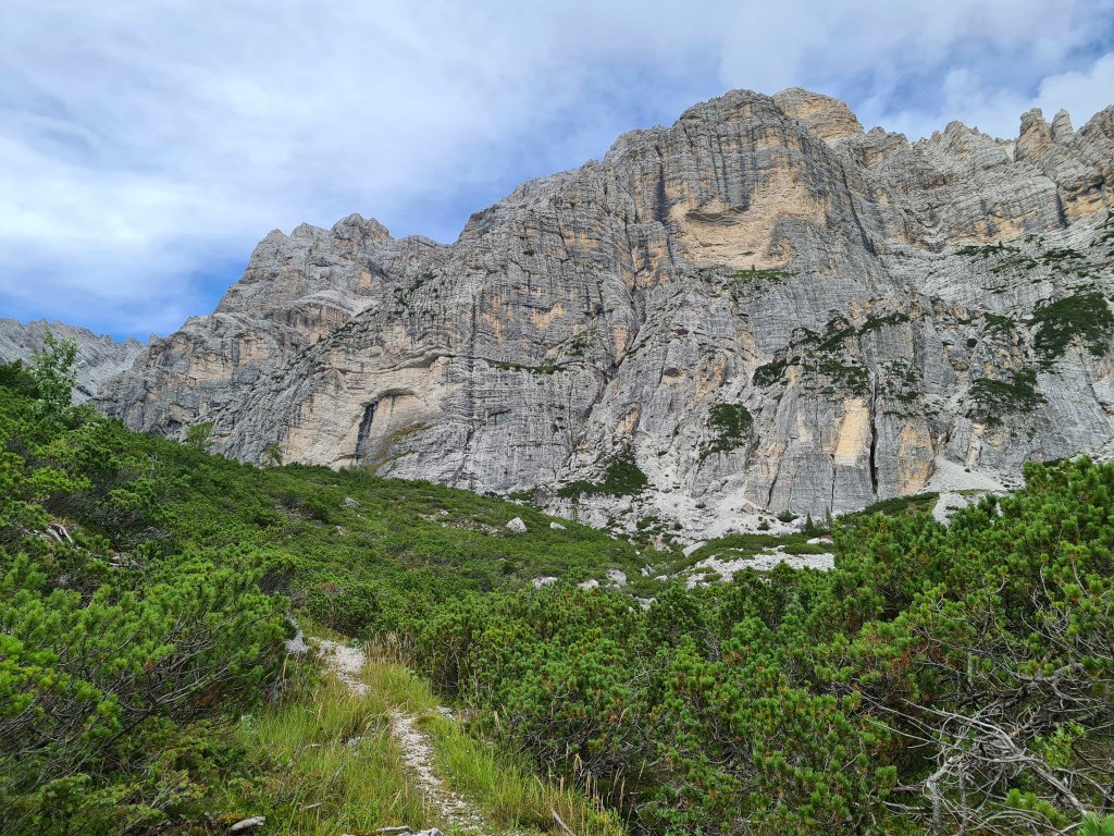 Vista delle Dolomiti con pareti rocciose e vegetazione verde in primo piano.