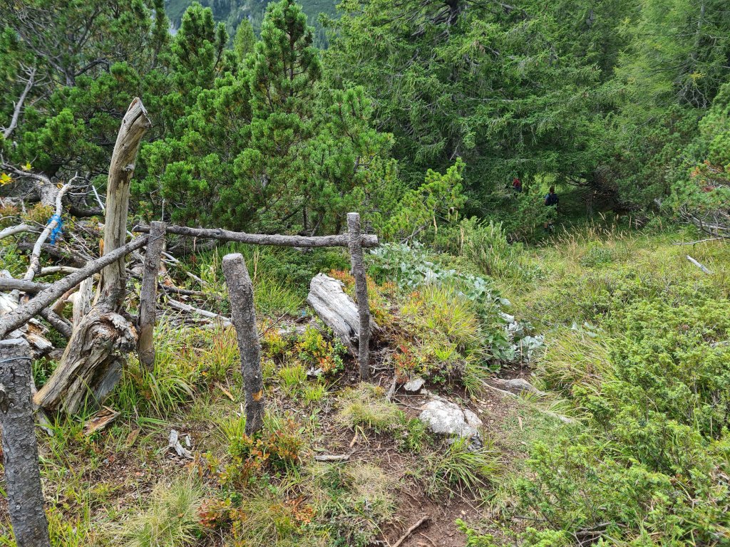 Un sentiero di montagna circondato da vegetazione e alberi verdi, con una barriera di legno fatta di rami e tronchi.