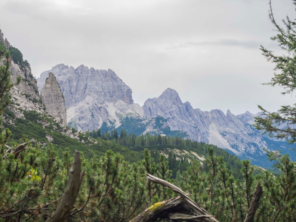 Panorama delle montagne con cime rocciose e vegetazione verde in primo piano.