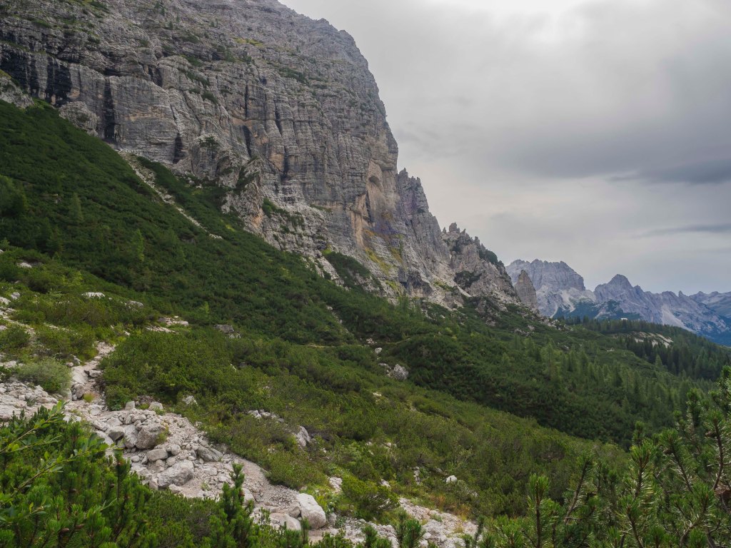 Paesaggio montano con scogliere e vegetazione verde nelle Dolomiti.