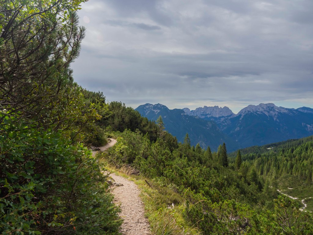 Un sentiero ghiaioso che serpeggia tra vegetazione verde, con montagne maestose sullo sfondo sotto un cielo nuvoloso.