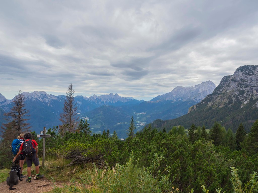 Due escursionisti con un cane osservano il panorama montano, circondati da alberi e una vista sulle cime delle montagne sotto un cielo nuvoloso.
