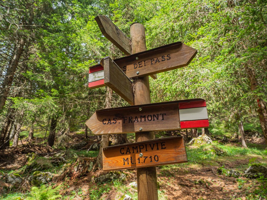 Cartelli segnaletici in legno nel bosco, indicano diverse direzioni: S. dei Pass, Cas. Fr. Amont e Campivie.